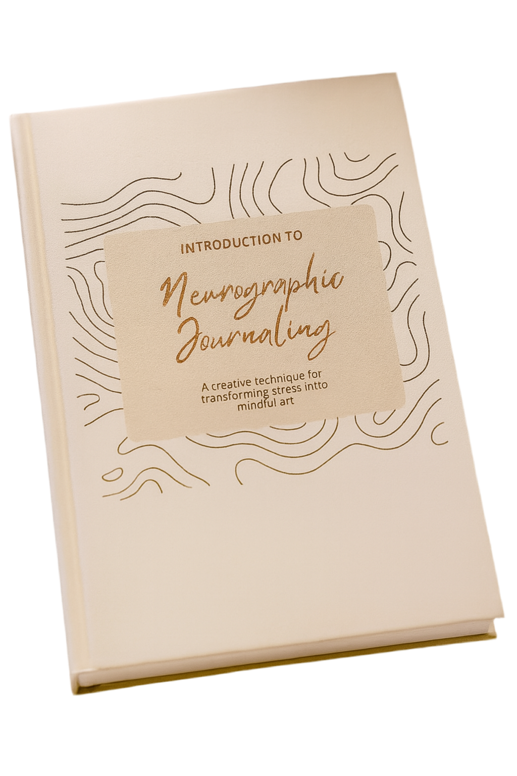 12-Week Neurographic Journal